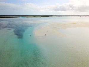 Lee Robinson N4rPtycA EM Unsplash 1