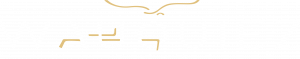 w logob2 300x59