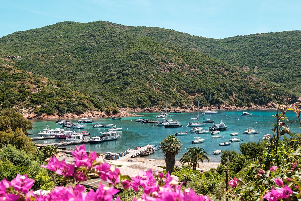 tourist boats at girolata in corsica
